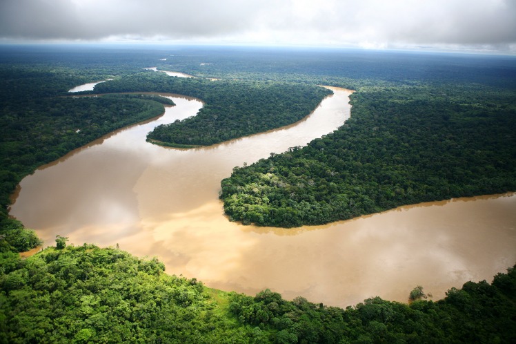 Aerial shot of a winding river, Amazon rainforest, Loreto region, Peru.